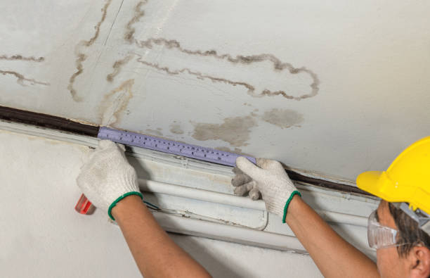 Reliable Sewage Cleanup contractor in Ashland, IL by Water Damage Irwin